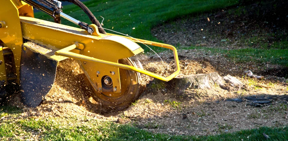 Stump Grinding & Removals